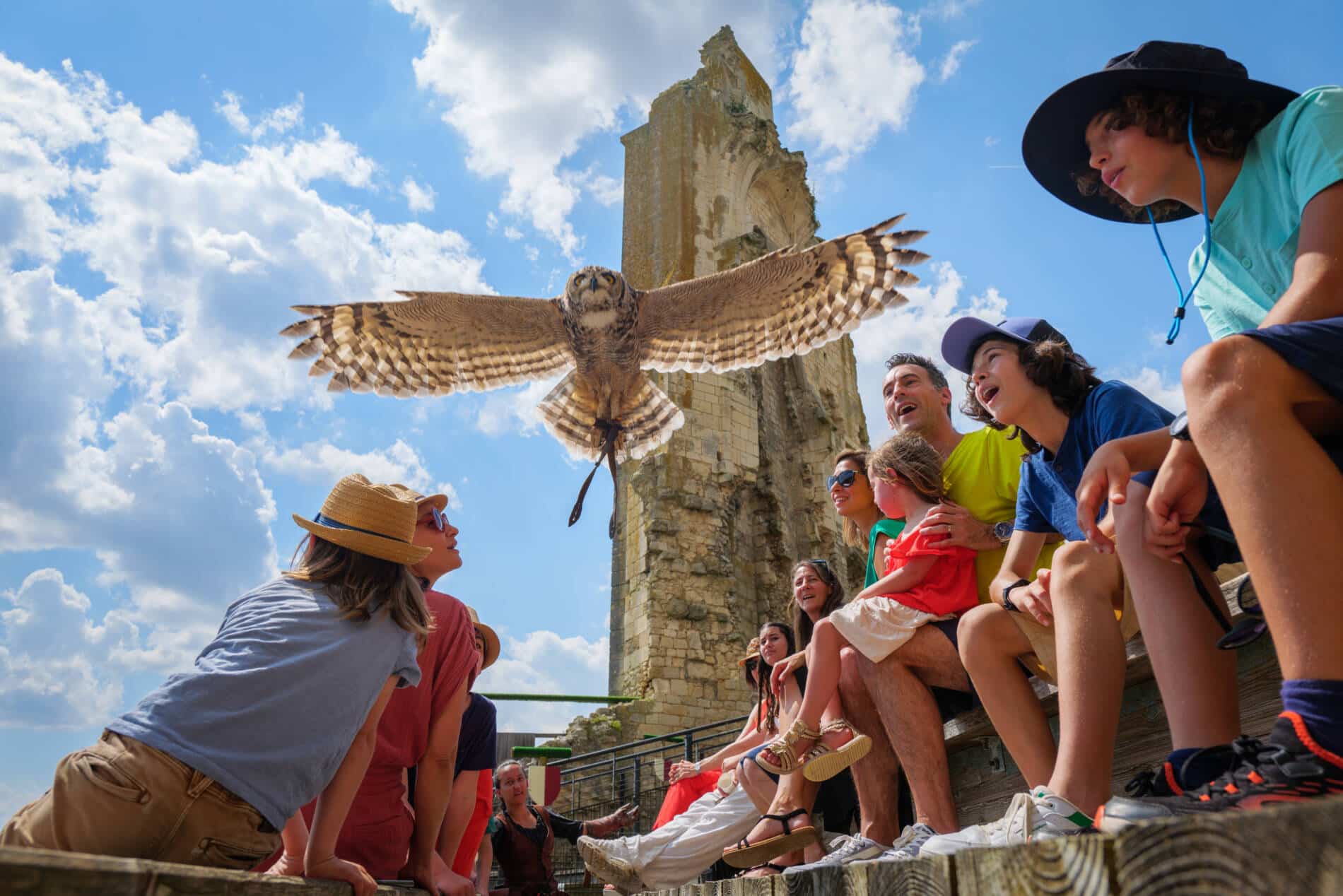 Les Géants du Ciel