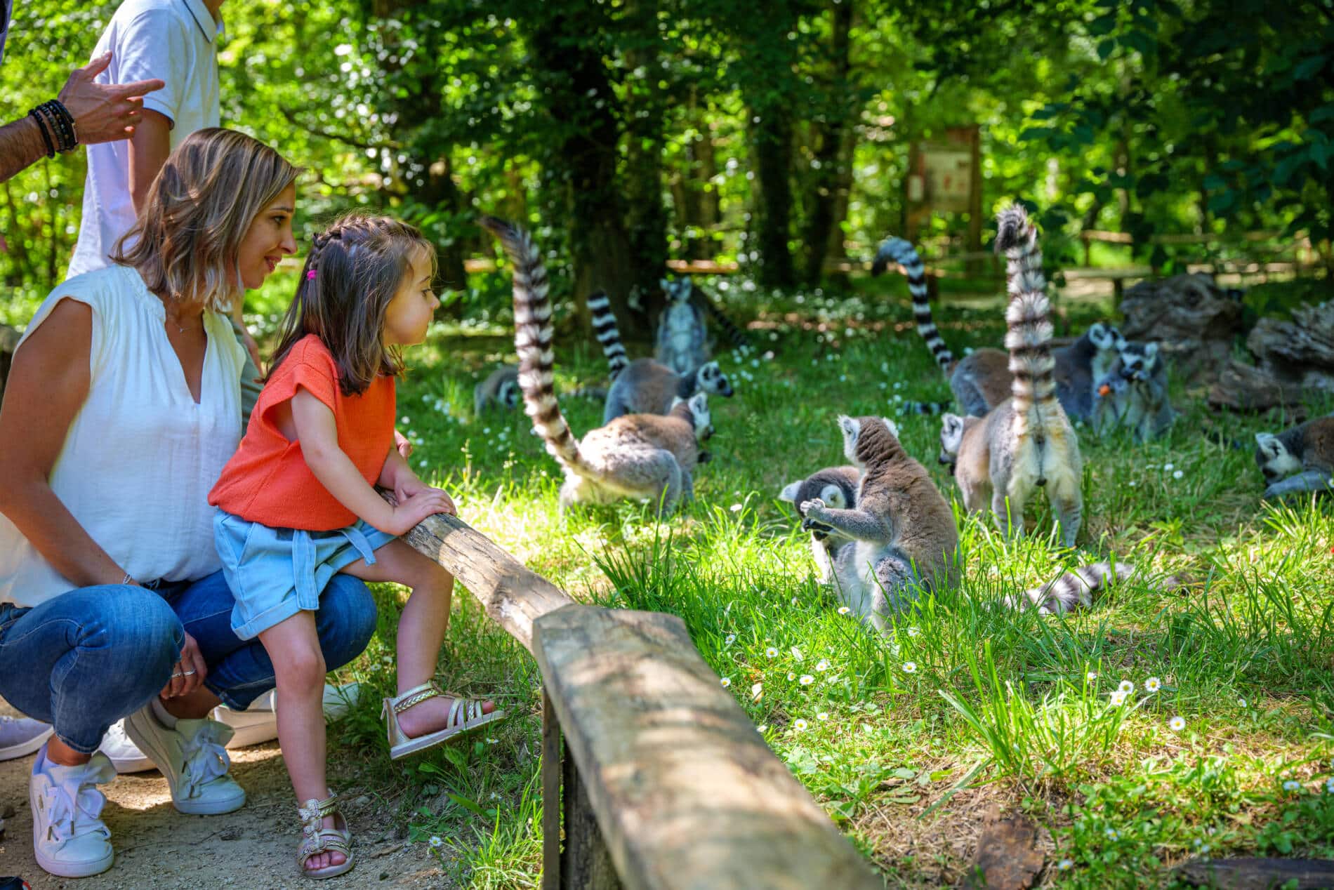 La Vallée des Singes