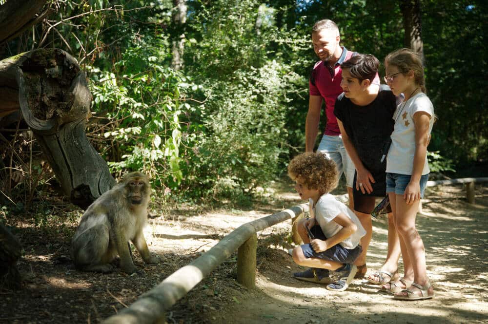 vallee singes famille NB 2105 25 - Tourisme Vienne