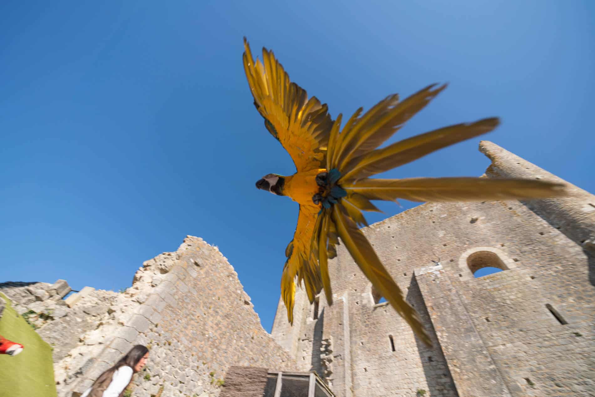 Les Géants du Ciel à Chauvigny