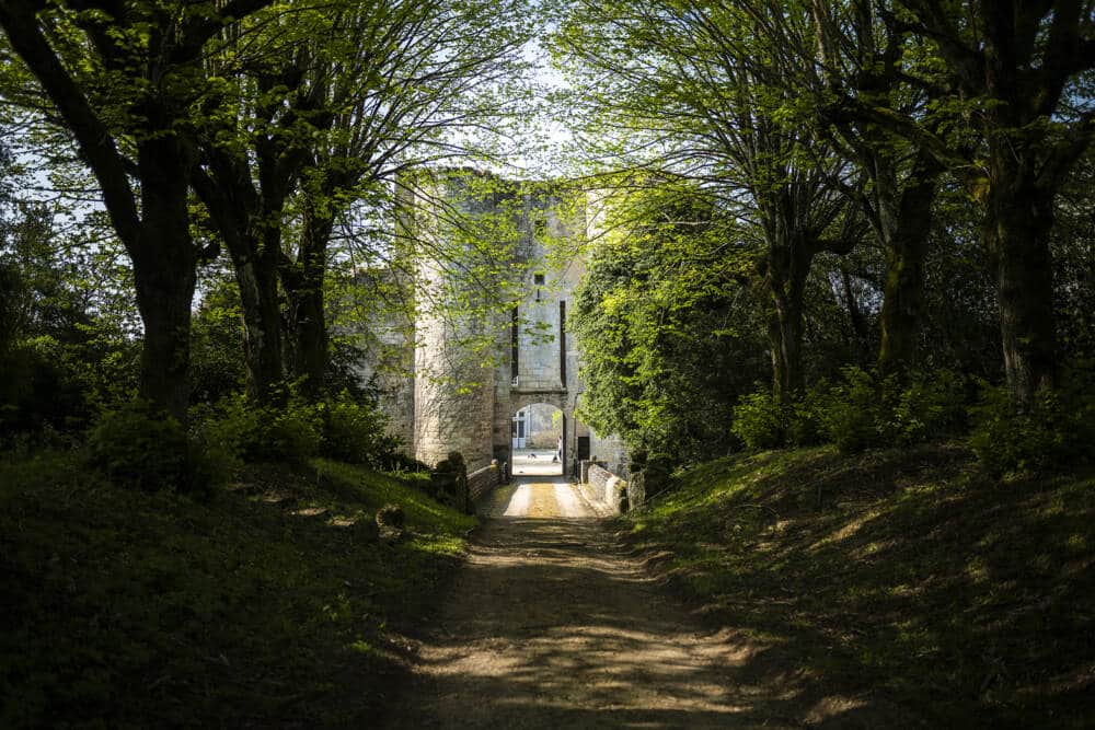 Château de Montreuil-Bonnin