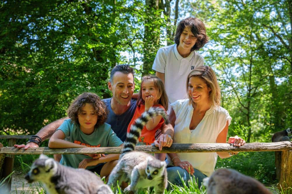 parents et enfants à la vallée des singes