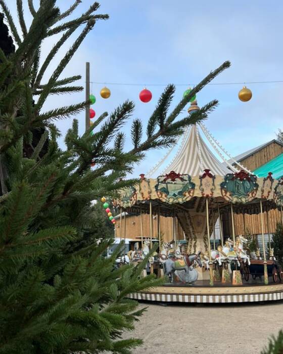 Manège à la Guinguette Pictave à Poitiers