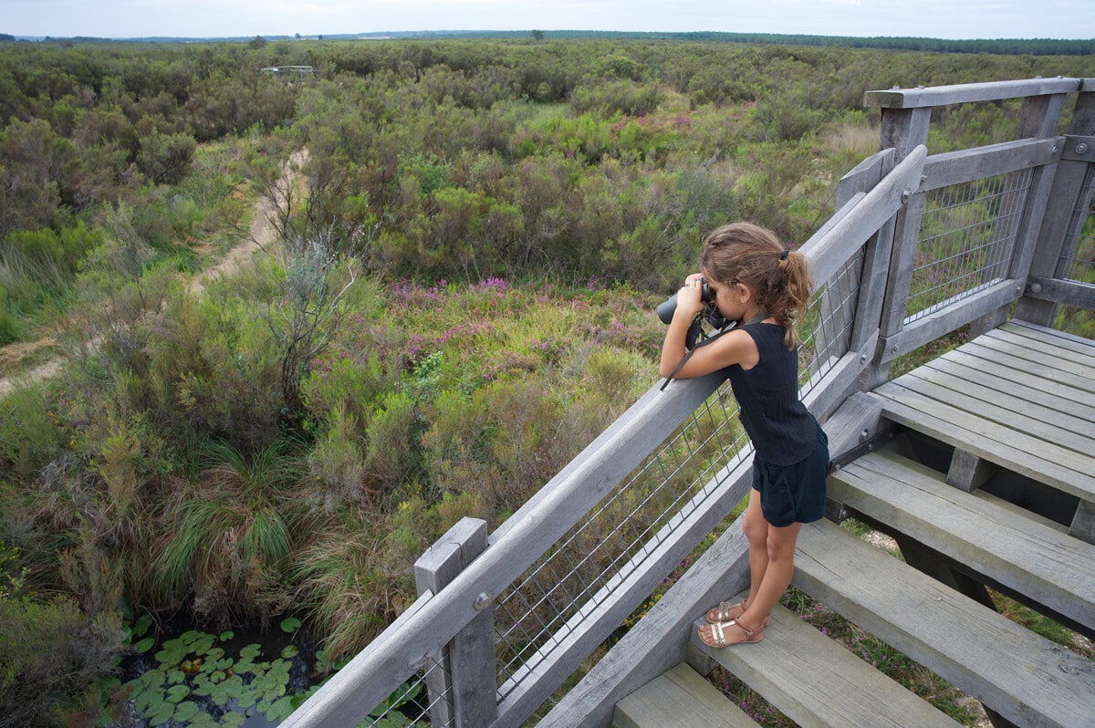 Le Petit Explorateur du Pinail