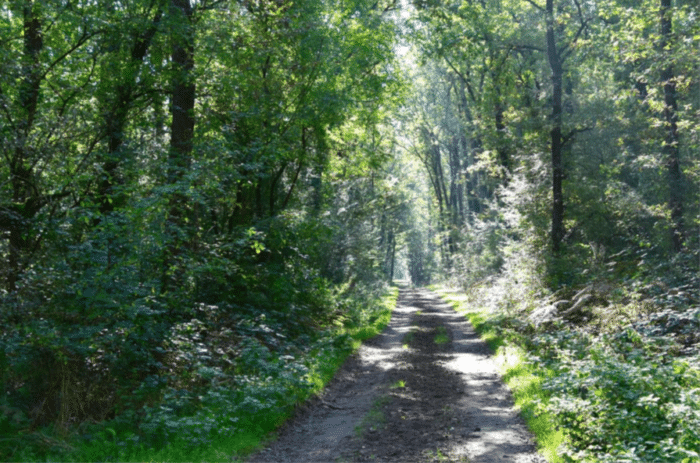 sortie vienne nature guesnes - Tourisme Vienne