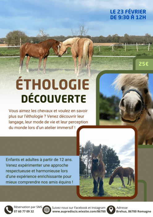 affiche ethologie - Tourisme Vienne